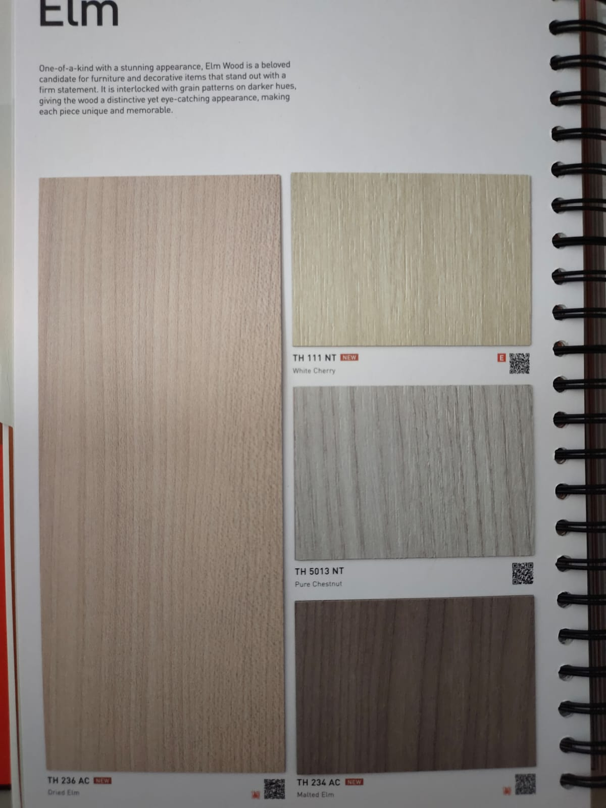 Katalog Warna 11